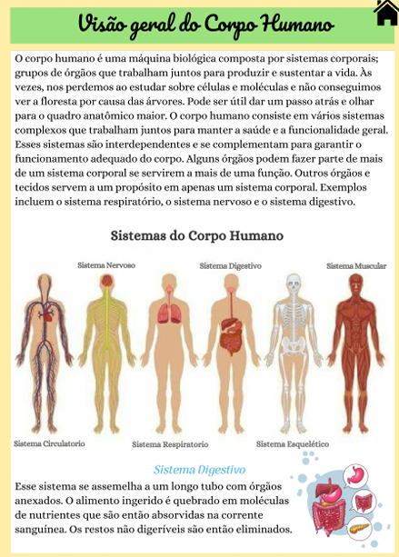 Página do material com a visão geral do corpo humano