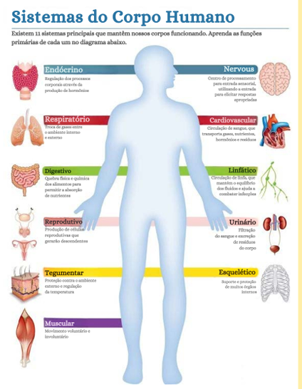 Página do material mostrando os 11 sistemas do corpo humano